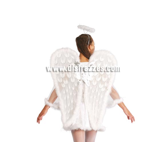 Alas de Angel 75 cm.