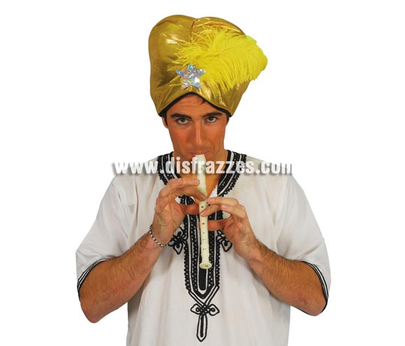 Flauta 30 cm. IMPORTANTE: Es como la de la imagen pero de color verde, sentimos no disponer de otra foto que se ajuste más al artículo. Perfecta como complemento del disfraz de Encantador de Serpientes.