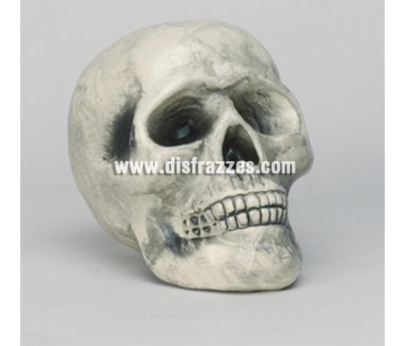 Calavera decorativa para Halloween. Acertada imitación.