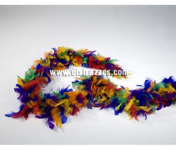 Boa Multicolor de plumas 45 gr.