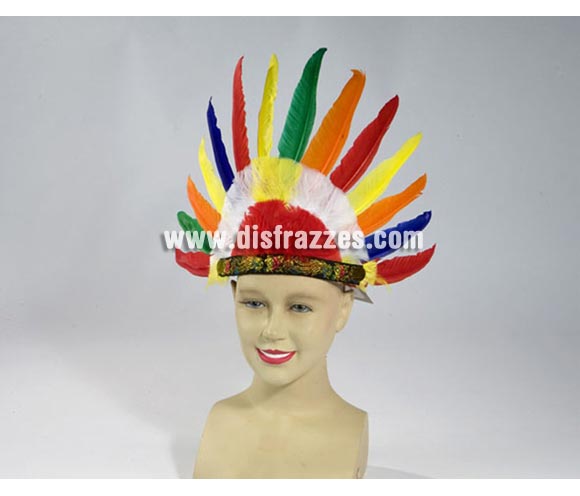 Penacho de Indio multicolor.