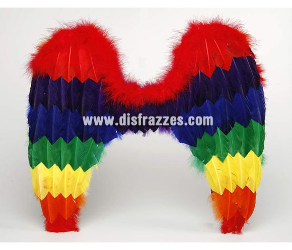 Alas de Loro multicolor de plumas 52x60 cm.