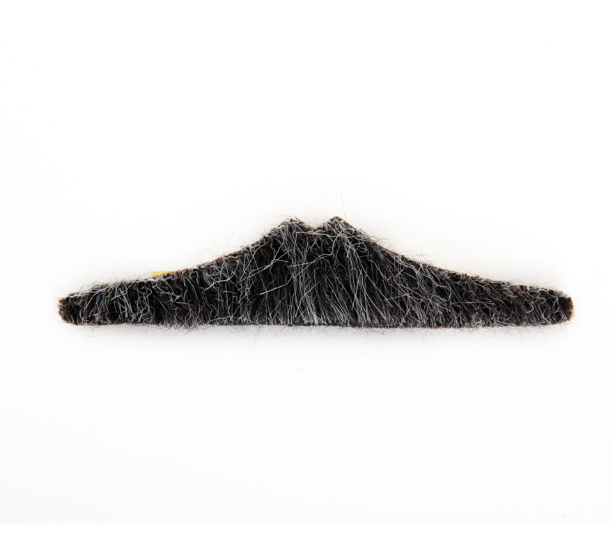 Bigote corto gris oscuro.
