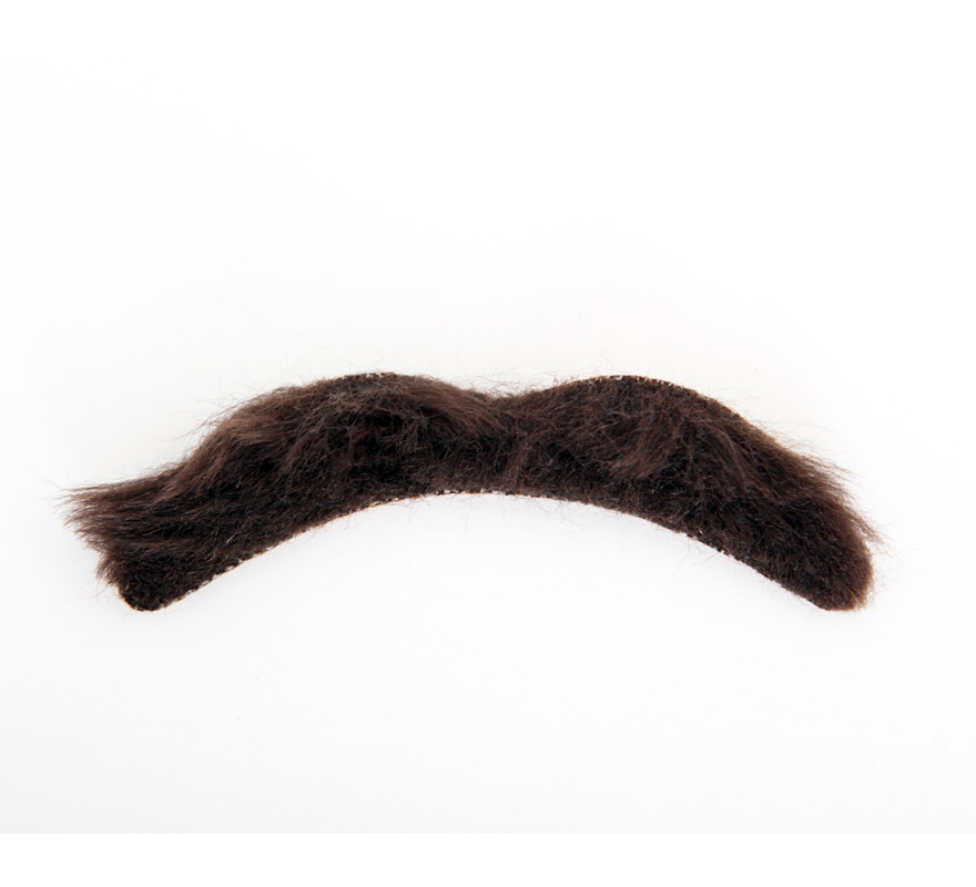 Bigote corto marrón.