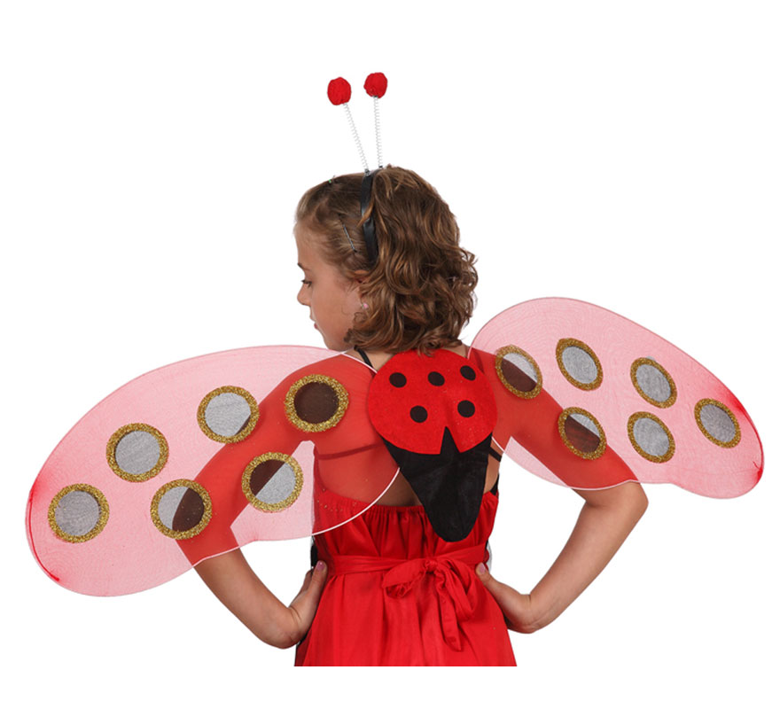 Set de alas de Mariquita y diadema con antenas.