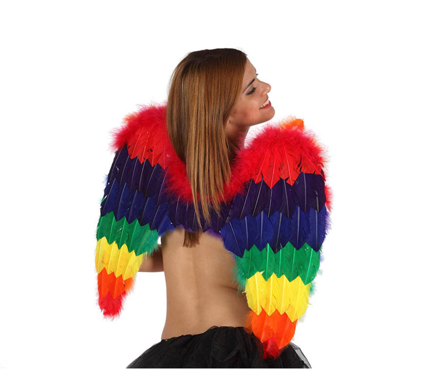 Alas de Loro multicolor de plumas 52x60 cm.