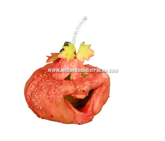 Calabaza con Hojas 24x17x16 cm.