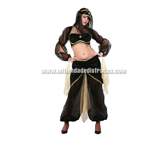 Disfraz de Bailarina del Harem adulta. Talla única 40/44. Incluye top, pantalones, cinturón y tocado con velo. Un disfraz muy sexy. Disfraz de Bailarina de la Danza del Vientre para mujer.