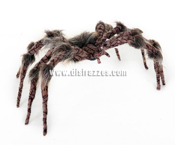 Araña peluda decorativa y barata de 27 cm. para Halloween. Artículo muy apropiado para decoración de Halloween en Discotecas, Pubs, Restaurantes, Colegios y Casas particulares y así crear un ambiente terrorífico y tenebroso típico de la Fiesta de Halloween cada vez más seguida por todos.
¡¡Compra la decoración para Halloween en nuestra tienda de disfraces, será divertido!!
