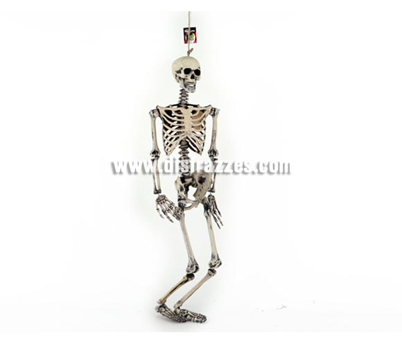 Esqueleto para colgar de 98x23x11 cm. para Halloween. Artículo muy apropiado para decoración de Halloween en Discotecas, Pubs, Restaurantes, Colegios y Casas particulares y así crear un ambiente terrorífico y tenebroso típico de la Fiesta de Halloween cada vez más seguida por todos.
¡¡Compra la decoración para Halloween en nuestra tienda de disfraces, será divertido!!
