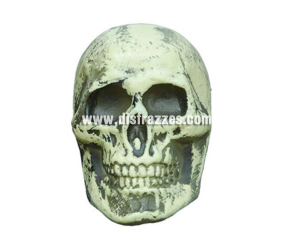 Calavera decorativa de 12,5 cm. para Halloween. Artículo muy apropiado para decoración de Halloween en Discotecas, Pub's, Restaurantes, Colegios y Casas particulares y así crear un ambiente terrorífico y tenebroso típico de la Fiesta de Halloween cada vez más seguida por todos.
¡¡Cómpranos la decoración para Halloween, será divertido!!

