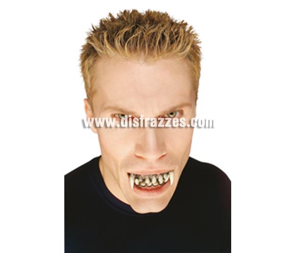Dientes Monstruosos dobles para Halloween. Dientes de Nosferatu Vampiro de la Noche. Ideal como complemento de tu disfraz de Halloween para ir de Fiesta a Pubs, Discotecas, Casas particulares o Restaurantes y ayudar a crear un ambiente terrorífico y tenebroso en la Fiesta de Halloween. ¡¡Compra los complementos de tu disfraz para Halloween en nuestra tienda de disfraces, será divertido!!