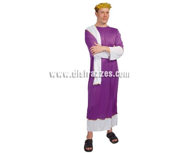 Disfraz muy barato de Senador Romano adulto para Carnavales. Talla única 52/54. Incluye corona y traje o túnica completo. También sirve como disfraz de Herodes para Navidad. Éste disfraz de Carnaval es ideal para divertirse en las Fiestas de Carnavales tan divertidas y estrambóticas como siempre y que cada vez se celebran en más Pueblos, Villas  y Ciudades, tanto en la calle como en Pubs, Discotecas, Casas particulares, Restaurantes o Colegios y disfrazándote con un traje de Carnaval ayudarás a crear ese ambiente Carnavalesco, tan divertido, multicolor y variopinto que a todos nos fascina y nos divierte.
¡¡Compra tu disfraz para Carnaval en nuestra tienda de disfraces, será divertido!!
