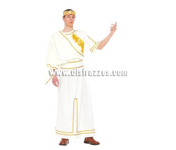 Disfraz barato de Romano para hombre. Talla única 52/54. Incluye corona, vestido y cinturón. Disfraz de César adulto ideal para Carnavales y para Teatros en Navidad.
