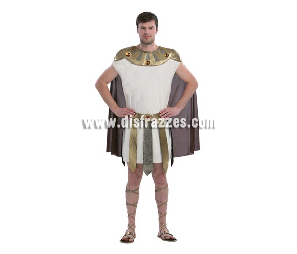 Disfraz barato de Guerrero Romano para hombre. Talla standar 52/54. Incluye túnica, capa y cinturón. Sandalias NO incluidas. Éste traje también se puede usar para teatros y Cabalgatas de Reyes en Navidad como soldado de Herodes. Éste traje hace pareja con la ref. 03382BT
