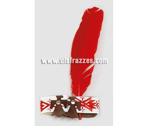 Pluma de Indio o India con cinta.