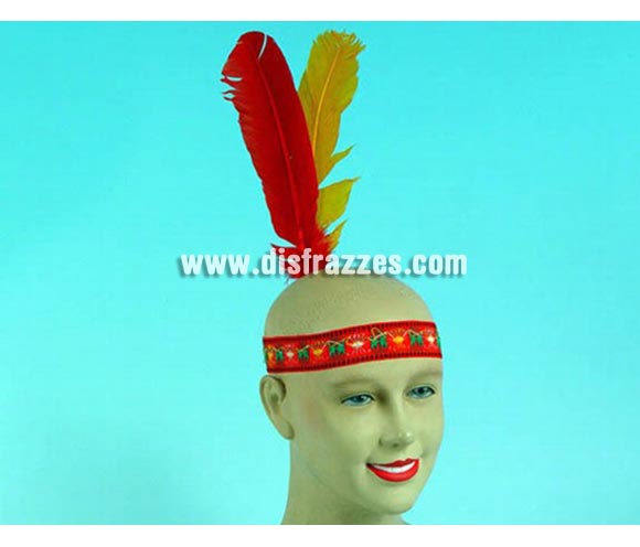Cinta de Indio o de India para cabeza con plumas.