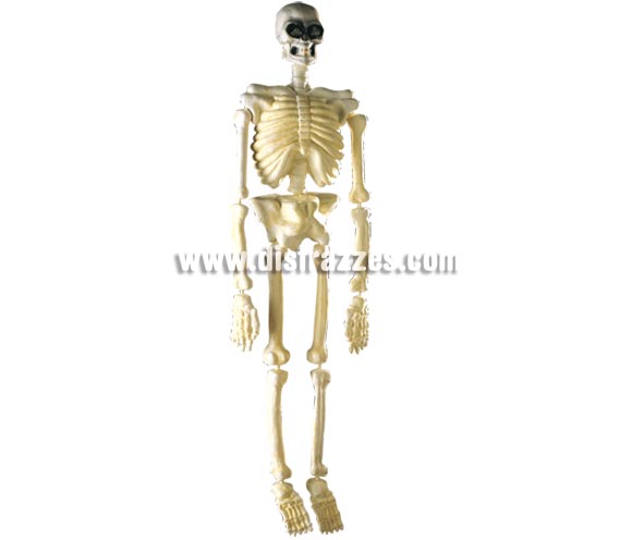 Esqueleto fluorescente de 90 cms perfecto para decoración de Halloween.