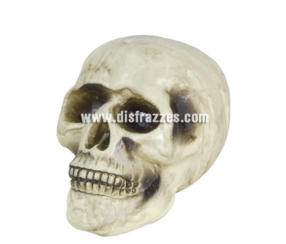 Calavera decorativa para Halloween, 20 cm.