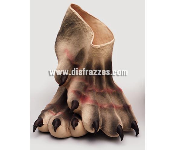 Pies Monstruo de látex. Ideal como complemento de tu disfraz de Halloween para ir de Fiesta a Pubs, Discotecas, Casas particulares o Restaurantes y ayudar a crear un ambiente terrorífico y tenebroso en la Fiesta de Halloween.
¡¡Compra los complementos de tu disfraz para Halloween en nuestra tienda de disfraces, será divertido!!
