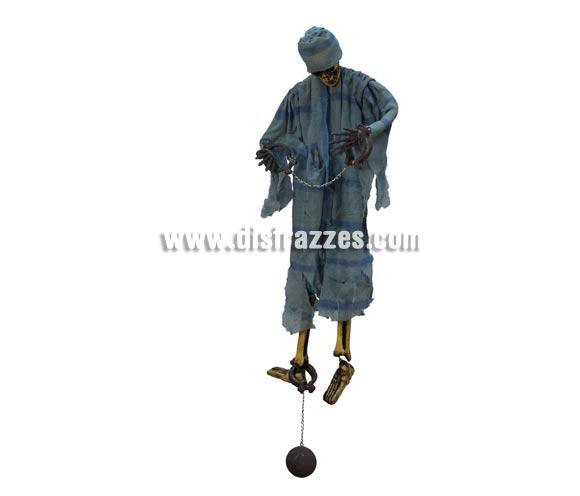 Colgante decorativo de Esqueleto Prisionero de 90 cm. para Halloween. Artículo muy apropiado para decoración de Halloween en Discotecas, Pub's, Restaurantes, Colegios y Casas particulares y así crear un ambiente terrorífico y tenebroso típico de la Fiesta de Halloween cada vez más seguida por todos.
¡¡Cómpranos la decoración para Halloween, será divertido!!