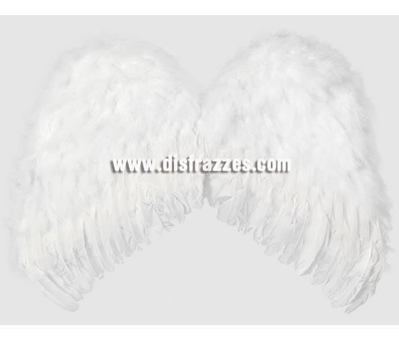 Alas de ángel plumas blancas de 65 x 48 cm. Ideal para Navidad y también como complemento de tu disfraz de Halloween para ir de Fiesta a Pubs, Discotecas, Casas particulares o Restaurantes y ayudar a crear un ambiente terrorífico y tenebroso en la Fiesta de Halloween.
¡¡Compra los complementos de tus disfraces en nuestra tienda de disfraces, será divertido!!
