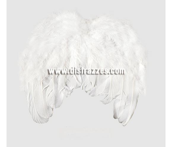 Alas de ángel plumas MINI de 20x20 cm. Son el tamaño ideal para Bebés. Ideal para Navidad y también como complemento de tu disfraz de Halloween para ir de Fiesta a Pubs, Discotecas, Casas particulares o Restaurantes y ayudar a crear un ambiente terrorífico y tenebroso en la Fiesta de Halloween.
¡¡Compra los complementos de tus disfraces en nuestra tienda de disfraces, será divertido!!
