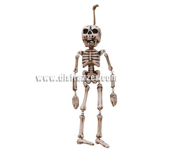 Colgante decorativo de Esqueleto de 35 cm. para Halloween. Artículo muy apropiado para decoración de Halloween en Discotecas, Pub's, Restaurantes, Colegios y Casas particulares y así crear un ambiente terrorífico y tenebroso típico de la Fiesta de Halloween cada vez más seguida por todos.
¡¡Cómpranos la decoración para Halloween, será divertido!!