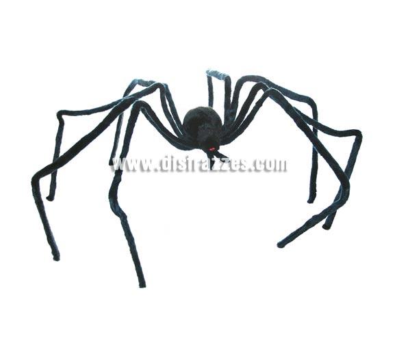 Araña decorativa gigante de 215 cm. para Halloween. Artículo muy apropiado para decoración de Halloween en Discotecas, Pubs, Restaurantes, Colegios y Casas particulares y así crear un ambiente terrorífico y tenebroso típico de la Fiesta de Halloween cada vez más seguida por todos. ¡¡Cómpranos la decoración para Halloween, será divertido!!