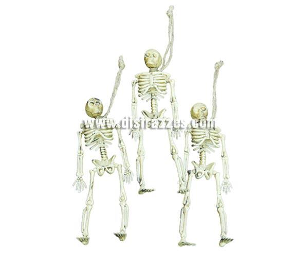 Blister o cartón de 3 Esqueletos decorativos colgantes de 12,5 cm. para Halloween. Artículo muy apropiado para decoración de Halloween en Discotecas, Pub's, Restaurantes, Colegios y Casas particulares y así crear un ambiente terrorífico y tenebroso típico de la Fiesta de Halloween cada vez más seguida por todos.
¡¡Cómpranos la decoración para Halloween, será divertido!!