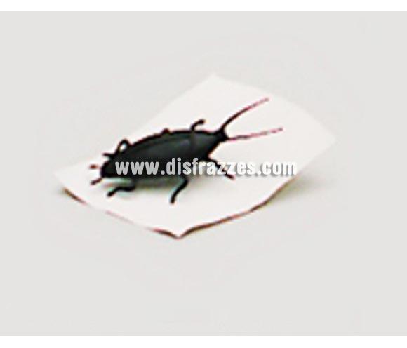 Cucaracha con clavo por debajo pequeña de unos 3 cm. para clavar en la pared, en los marcos de las puertas, etc. para Halloween. Artículo muy apropiado para decoración de Halloween en Discotecas, Pubs, Restaurantes, Colegios y Casas particulares y así crear un ambiente terrorífico y tenebroso típico de la Fiesta de Halloween cada vez más seguida por todos.
¡¡Compra la decoración para Halloween en nuestra tienda de disfraces, será divertido!!
