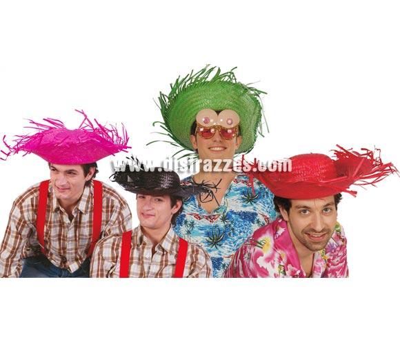 Sombrero Espantapájaros de paja. Varios colores. Precio por unidad, se venden por separado. Ideal para las Fiestas de Verano y para los disfraces de Hawaiano.