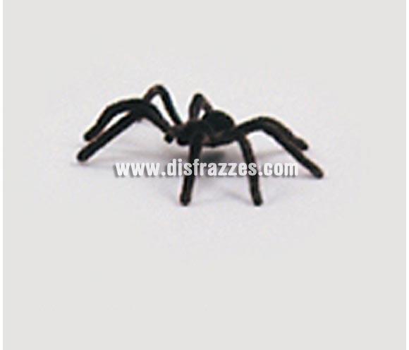 Araña o Tarántula peluda sin clavo pequeña de unos 6 cm. para Halloween. Artículo muy apropiado para decoración de Halloween en Discotecas, Pubs, Restaurantes, Colegios y Casas particulares y así crear un ambiente terrorífico y tenebroso típico de la Fiesta de Halloween cada vez más seguida por todos.
¡¡Compra la decoración para Halloween en nuestra tienda de disfraces, será divertido!!
