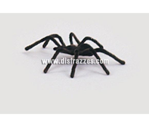 Tarántula o Araña peluda grande sin clavo de unos 8 cm. para Halloween. Artículo muy apropiado para decoración de Halloween en Discotecas, Pubs, Restaurantes, Colegios y Casas particulares y así crear un ambiente terrorífico y tenebroso típico de la Fiesta de Halloween cada vez más seguida por todos.
¡¡Compra la decoración para Halloween en nuestra tienda de disfraces, será divertido!!
