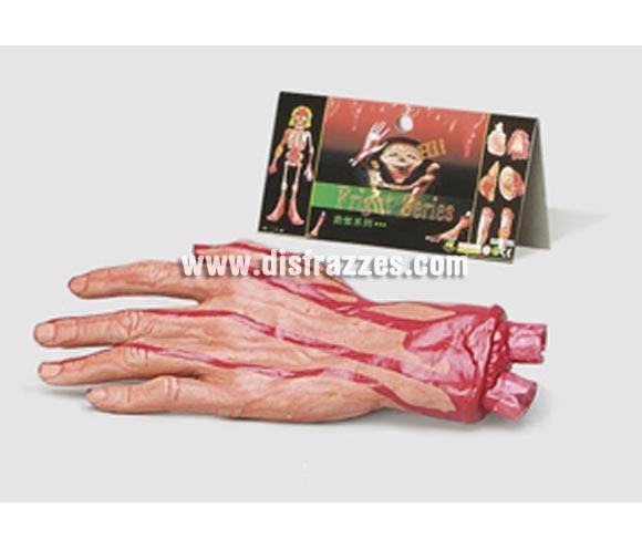 Mano desgarrada y ensangrentada perfecta como complemento de tu disfraz de Halloween y como artículo para para decorar Pub's, Discotecas, Casas particulares, Colegios y Restaurantes en Halloween y crear un ambiente terrorífico. Precio barato.
