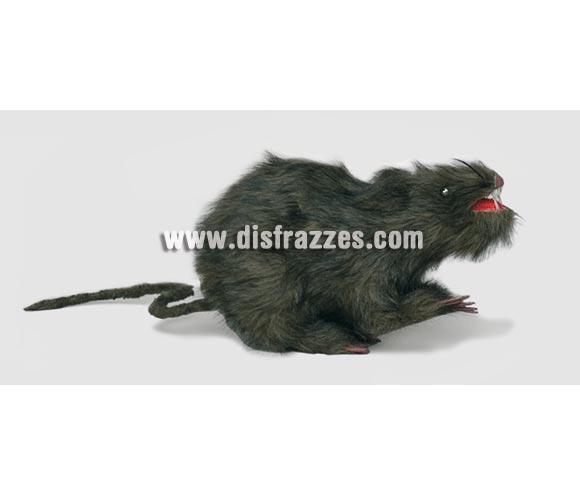 Rata peluda de 23 cm. para Halloween. Artículo muy apropiado para decoración de Halloween en Discotecas, Pubs, Restaurantes, Colegios y Casas particulares y así crear un ambiente terrorífico y tenebroso típico de la Fiesta de Halloween cada vez más seguida por todos.
¡¡Compra la decoración para Halloween en nuestra tienda de disfraces, será divertido!!
