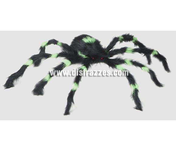Tarántula o Araña gigante de 70 cms. para Halloween. Perfecta para Decorar Pub's, Discotecas, Casas particulares, Colegios y Restaurantes en Halloween y crear un ambiente terrorífico.
¡¡Compra la decoración para Halloween en nuestra tienda de disfraces, será divertido!!