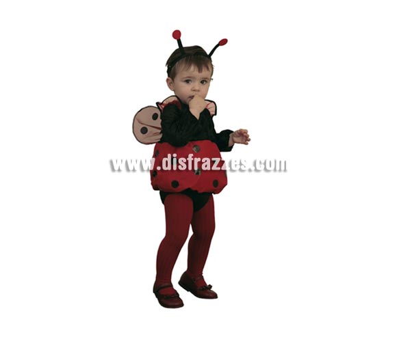 Disfraz de Mariquita bebé para Carnaval. Talla de 6 a 12 meses. Incluye diadema, vestido con alas y braguita. Éste disfraz de Carnaval es ideal para divertirse en las Fiestas de Carnavales tan divertidas y estrambóticas como siempre y que cada vez se celebran en más Pueblos, Villas  y Ciudades, tanto en la calle como en Pubs, Discotecas, Casas particulares, Restaurantes o Colegios y disfrazándote con un traje de Carnaval ayudarás a crear ese ambiente Carnavalesco, tan divertido, multicolor y variopinto que a todos nos fascina y nos divierte.
¡¡Compra tu disfraz para Carnaval en nuestra tienda de disfraces, será divertido!!
