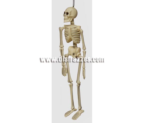 Esqueleto articulado de 42 cms. Artículo muy apropiado para decoración de Halloween en Discotecas, Pubs, Restaurantes, Colegios y Casas particulares y así crear un ambiente terrorífico y tenebroso típico de la Fiesta de Halloween cada vez más seguida por todos.
¡¡Compra la decoración para Halloween en nuestra tienda de disfraces, será divertido!!

