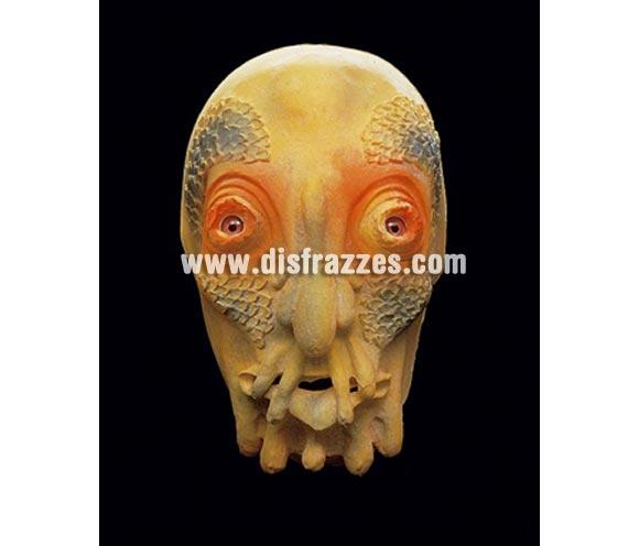 Careta cara de Pulpo para Halloween. Máscara o Careta de Halloween ideal para ir de Fiesta la Noche de las Brujas a Pubs, Discotecas, Casas particulares o Restaurantes y ayudar a crear un ambiente terrorífico y tenebroso en la Fiesta de Halloween.
¡¡Compra tu careta o tu máscara para Halloween en nuestra tienda de disfraces, será divertido!!
