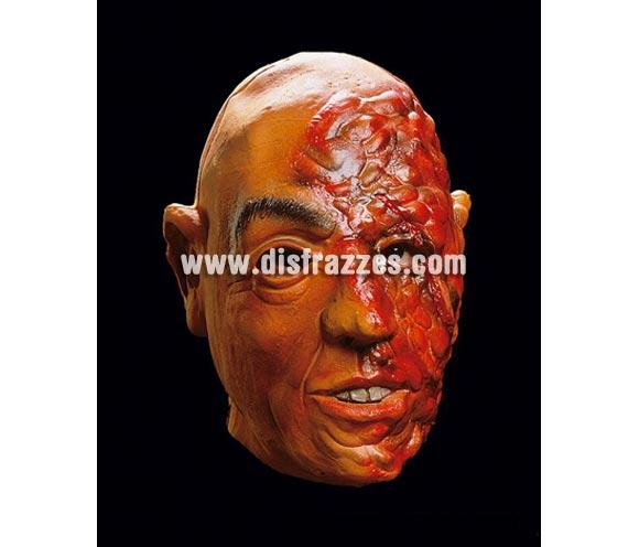 Careta o máscara de Monstruo media cara quemada para Halloween. Máscara o Careta de Halloween ideal para ir de Fiesta la Noche de las Brujas a Pubs, Discotecas, Casas particulares o Restaurantes y ayudar a crear un ambiente terrorífico y tenebroso en la Fiesta de Halloween.
¡¡Compra tu careta o tu máscara para Halloween en nuestra tienda de disfraces, será divertido!!
