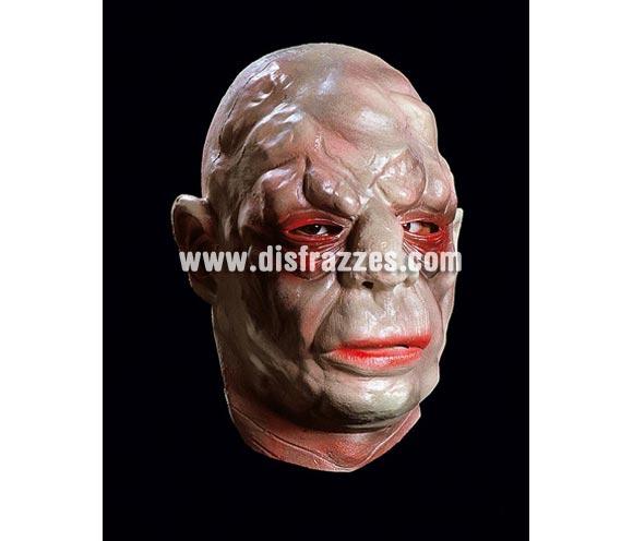 Careta de Monstruo cara con bultos de cabeza entera para Halloween. Máscara o Careta de Halloween ideal para ir de Fiesta la Noche de las Brujas a Pubs, Discotecas, Casas particulares o Restaurantes y ayudar a crear un ambiente terrorífico y tenebroso en la Fiesta de Halloween.
¡¡Compra tu careta o tu máscara para Halloween en nuestra tienda de disfraces, será divertido!!
