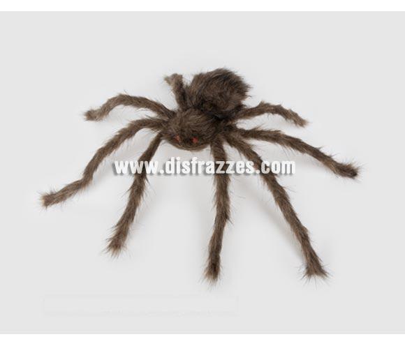 Tarántula o Araña gigante de 44 cms. para Halloween. Cuatro tonos de color surtidos. Artículo muy apropiado para decoración de Halloween en Discotecas, Pubs, Restaurantes, Colegios y Casas particulares y así crear un ambiente terrorífico y tenebroso típico de la Fiesta de Halloween cada vez más seguida por todos.
¡¡Compra la decoración para Halloween en nuestra tienda de disfraces, será divertido!!

