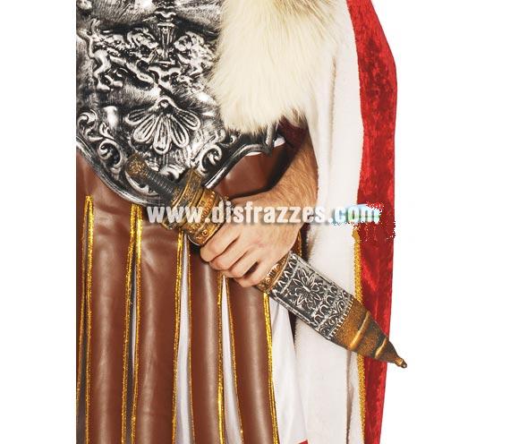 Espada romano 56 cm. Perfecta como complemento del disfraz de Astérix o de Centurión Romano en Navidad.