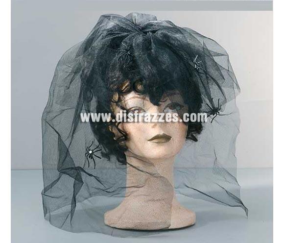 Peluca de Viuda Negra con arañas para Halloween. Ideal como complemento de tu disfraz de Halloween para ir de Fiesta a Pub's, Discotecas, Casas particulares o Restaurantes y ayudar a crear un ambiente terrorífico y tenebroso en la Fiesta de Halloween.
¡¡¡PRÓXIMA RECEPCIÓN DE ÉSTE ARTÍCULO A PARTIR DE SEPTIEMBRE DE 2010!!!
