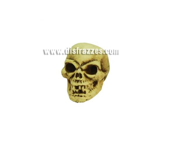 Calavera decorativa de 18 cm. para Halloween. Artículo muy apropiado para decoración de Halloween en Discotecas, Pub's, Restaurantes, Colegios y Casas particulares y así crear un ambiente terrorífico y tenebroso típico de la Fiesta de Halloween cada vez más seguida por todos.
¡¡Cómpranos la decoración para Halloween, será divertido!!