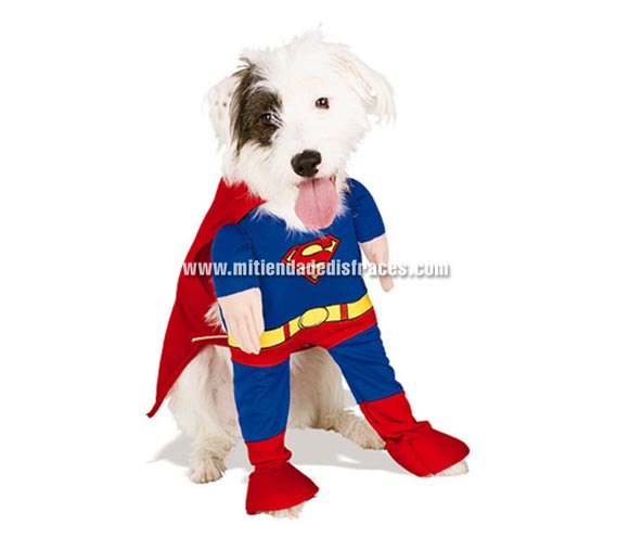 Disfraz de mascota de Superman. Talla-L.