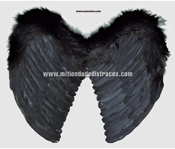 Alas de plumas negras de 44 x 38 cm.