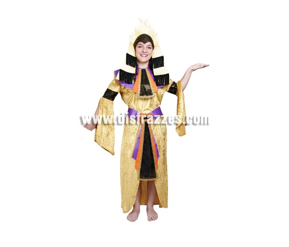 Disfraz de Egipcia adulta para Carnaval. Alta calidad. Hecho en España. Talla única 40/44. Incluye tocado de la cabeza, túnica, cuello y cinturón. Éste disfraz de Carnaval es ideal para divertirse en las Fiestas de Carnavales tan divertidas y estrambóticas como siempre y que cada vez se celebran en más Pueblos, Villas  y Ciudades, tanto en la calle como en Pubs, Discotecas, Casas particulares,  Restaurantes o Colegios y disfrazándote con un traje de Carnaval ayudarás a crear ese ambiente Carnavalesco, tan divertido, multicolor y variopinto  que a todos nos fascina y nos divierte.
¡¡Compra tu disfraz para Carnaval en nuestra tienda de disfraces, será divertido!!
