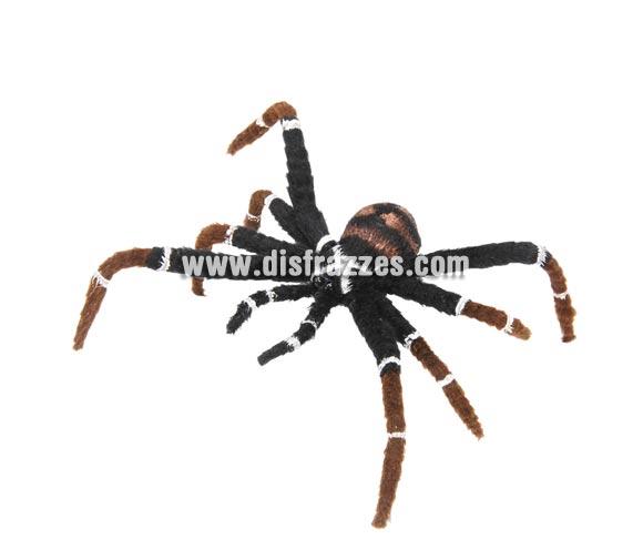 Araña decorativa de 15 cm. para Halloween. Artículo muy apropiado para decoración de Halloween.!
